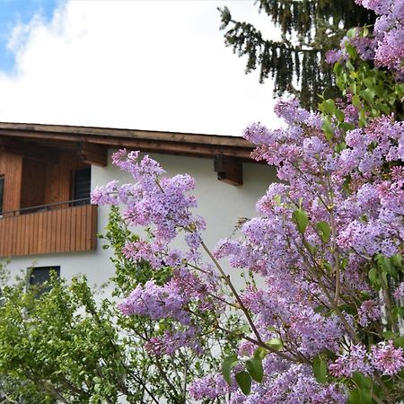 Tgesa Zundregn Savognin Exterior foto